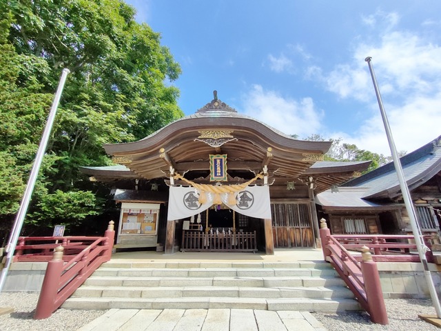 IMG20250711091139