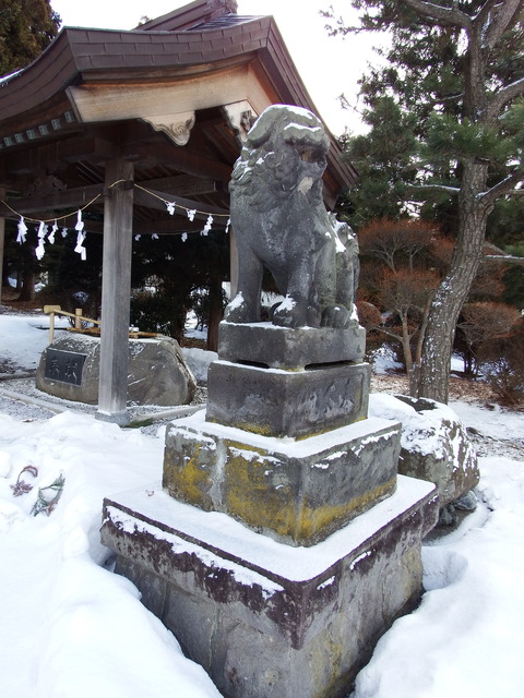 DSCF4022