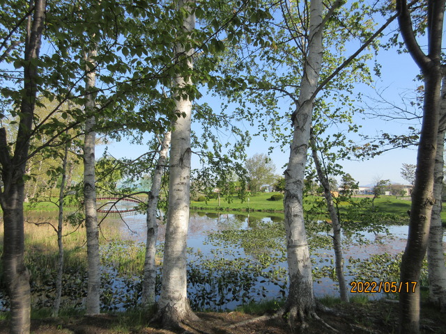 IMG_9421