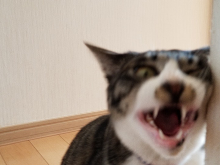 20190419_090939