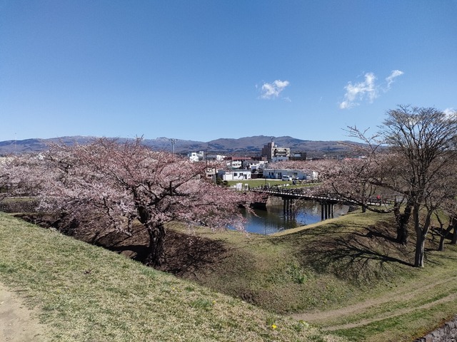 IMG20240422093244