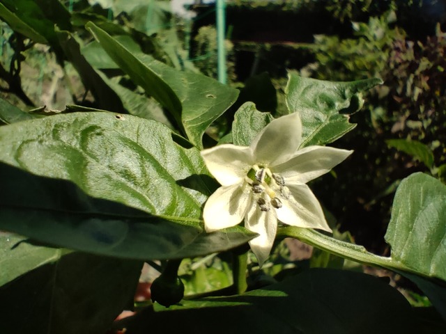 IMG20220910114001