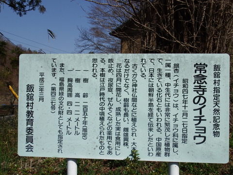 DSCF4851