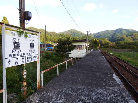 DSCF6524