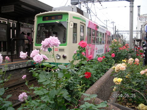 RIMG3881