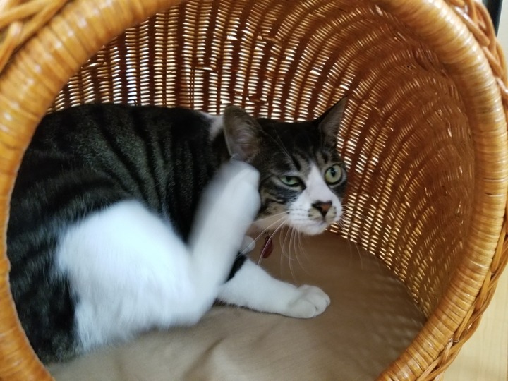 20190529_102054
