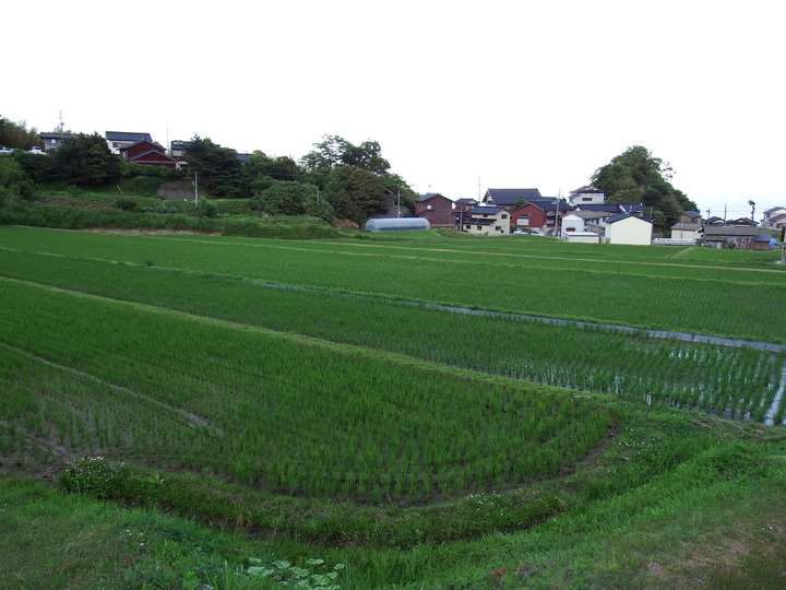 DSCF8625