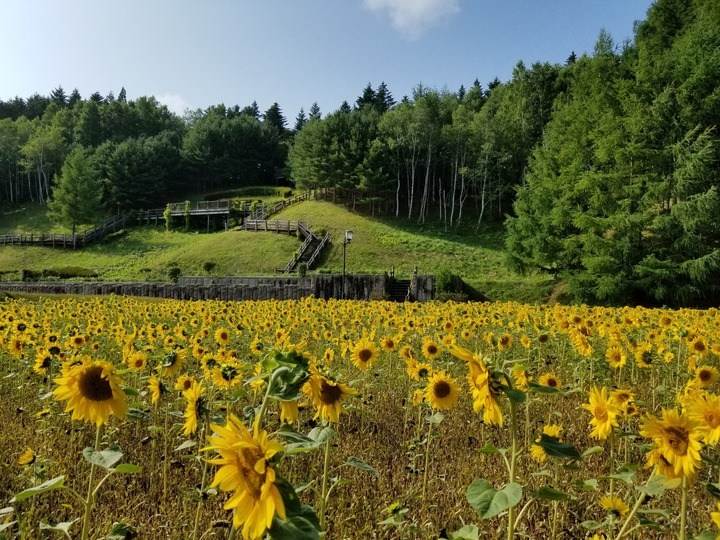 20190720_074856
