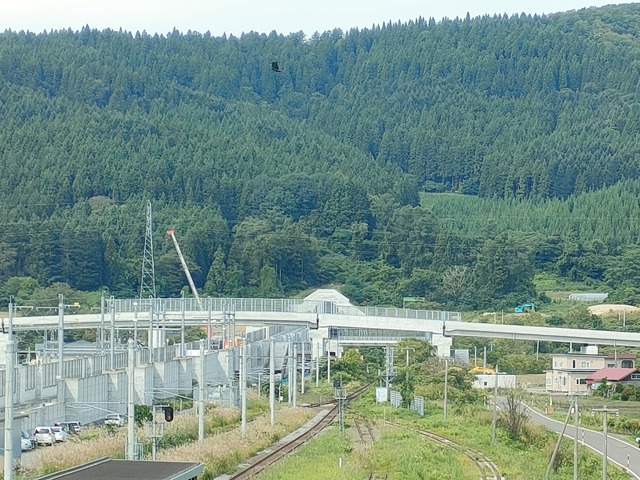 IMG20260910100715