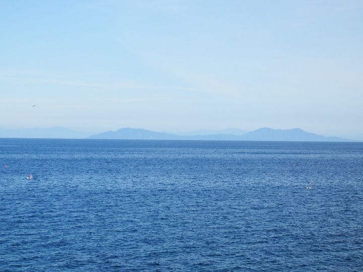 DSCF8619