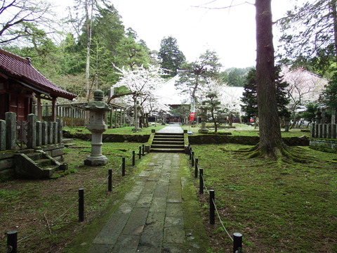 DSCF5353