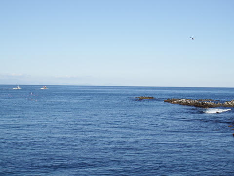 DSCF3507
