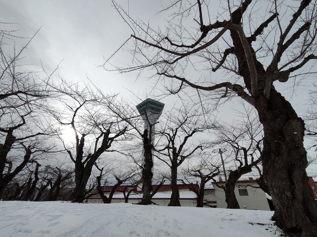 IMG20240125092950