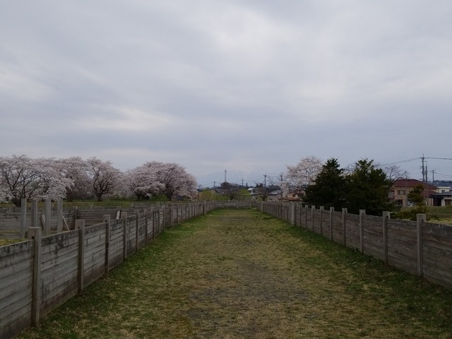 IMG_20220422_114110