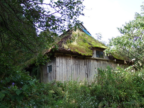 DSCF6461