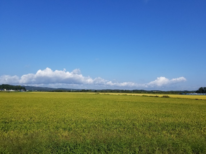 20190910_081544