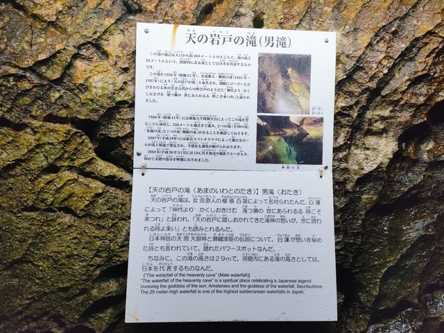 IMG20230419091917