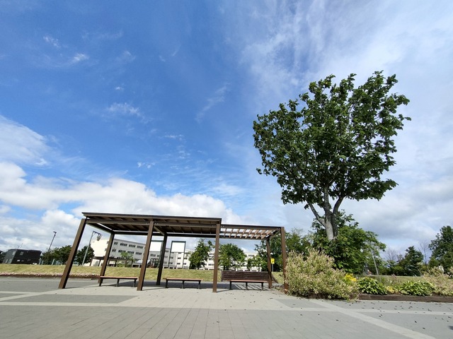 IMG20260611084210