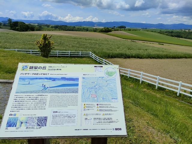 IMG20230616113738