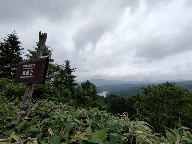IMG20240709115457