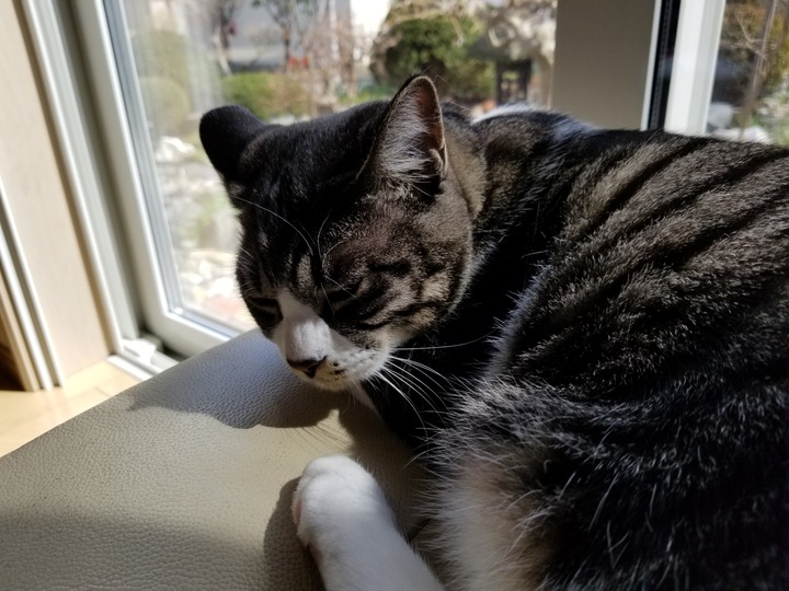 20190419_135716