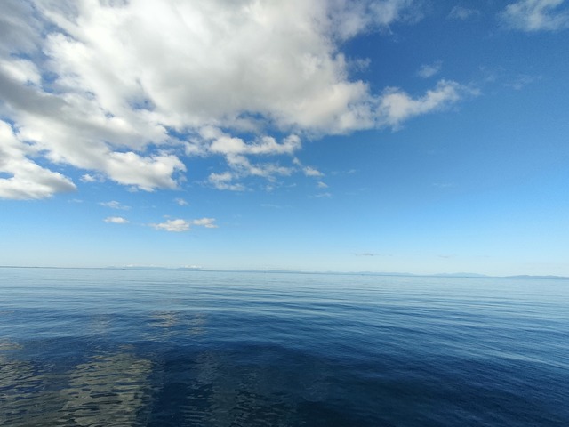 IMG20230619065020
