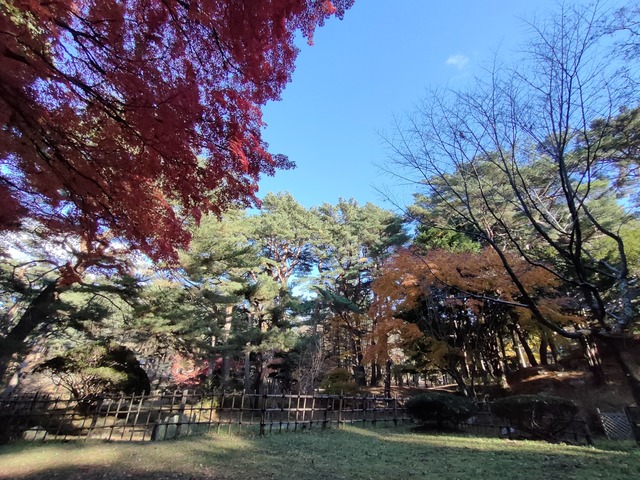 IMG20231115142011