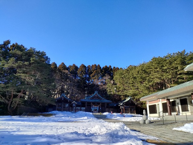 IMG20240128091209