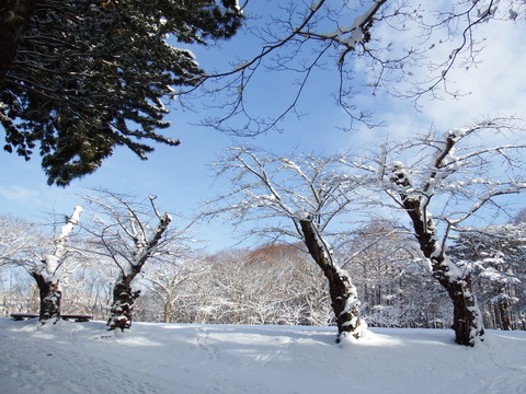 DSCF7190