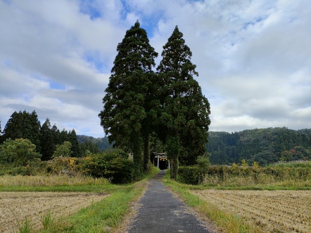 IMG20221015082301