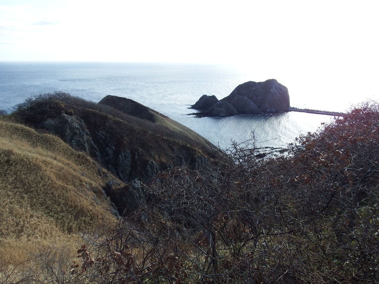 周囲7m岩山の無人島 武井の島 函館発 ぼうけんの旅