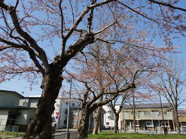 IMG_20220424_091717