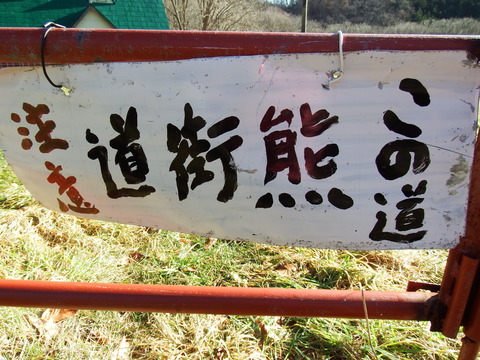 DSCF3426