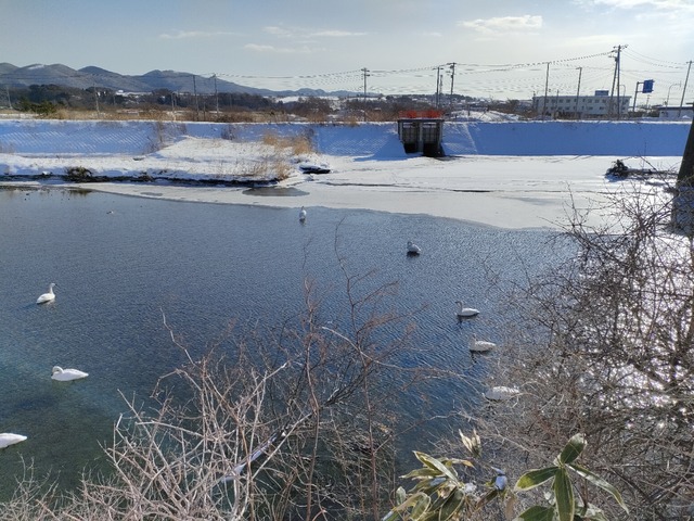IMG20230205091706