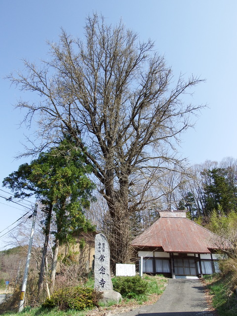 DSCF4850