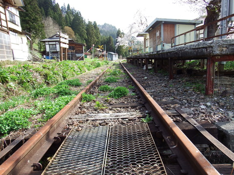 DSCF5021