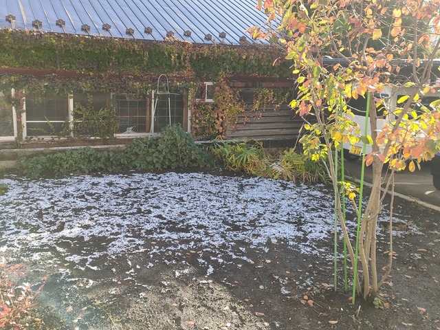 IMG20231112085925