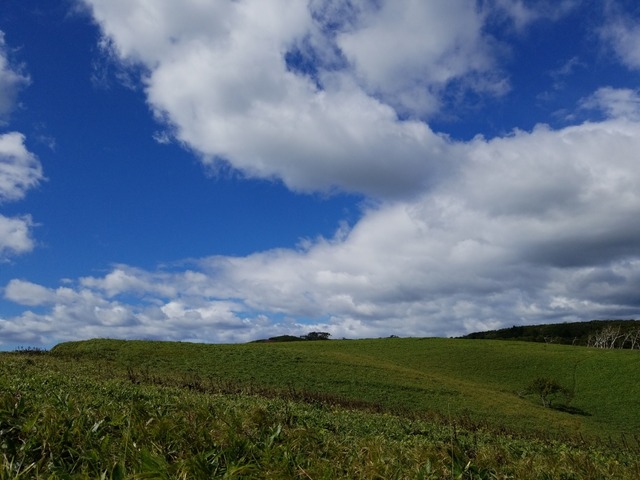 IMG_20210913_101601