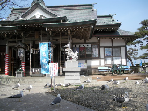 RIMG1247