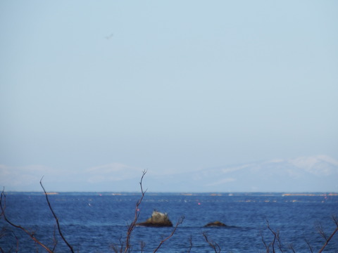DSCF3496