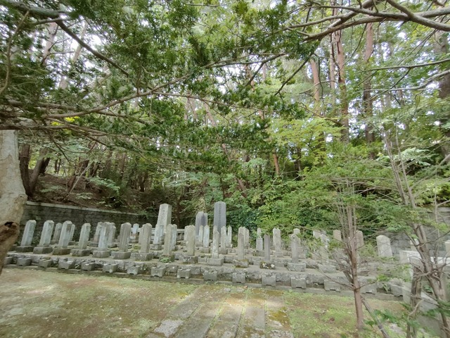IMG20260918103505