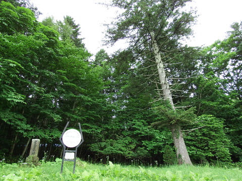 551
