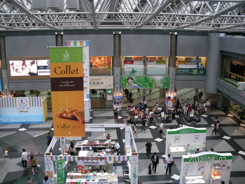 RIMG0524