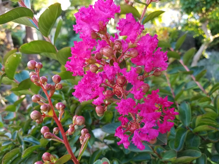20190918_162302