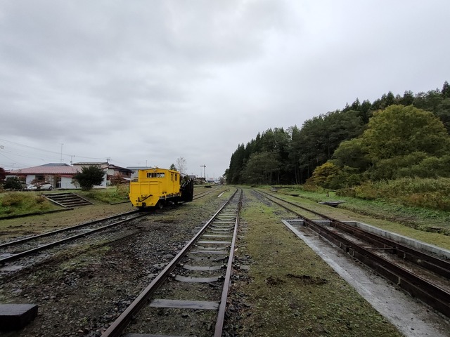 IMG20231021100509