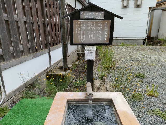 IMG20230523153616