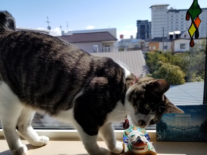 20190419_091551