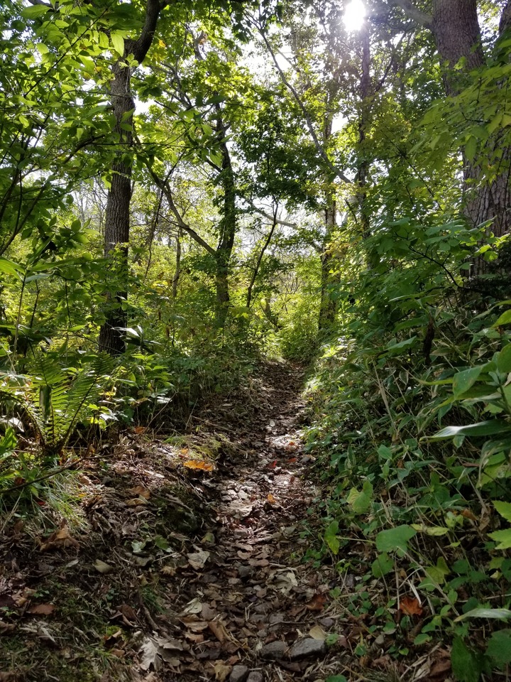 20191017_105839