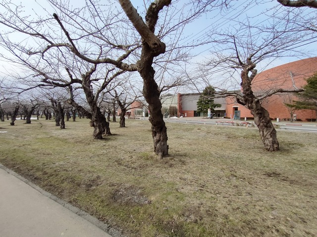 IMG20230309092921