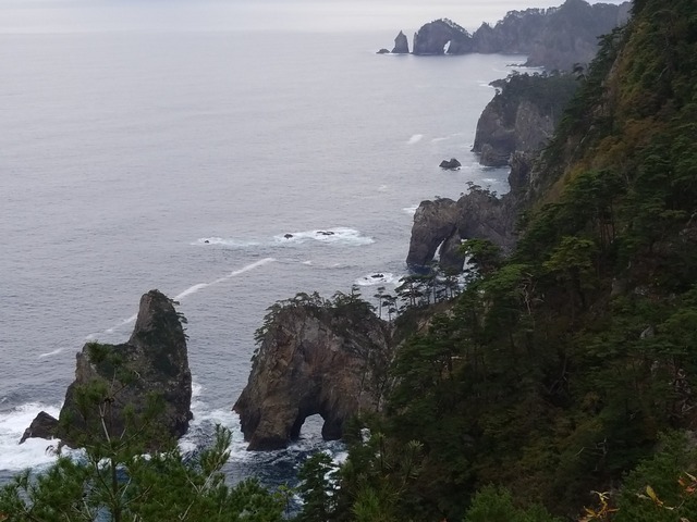 IMG_20211015_112833